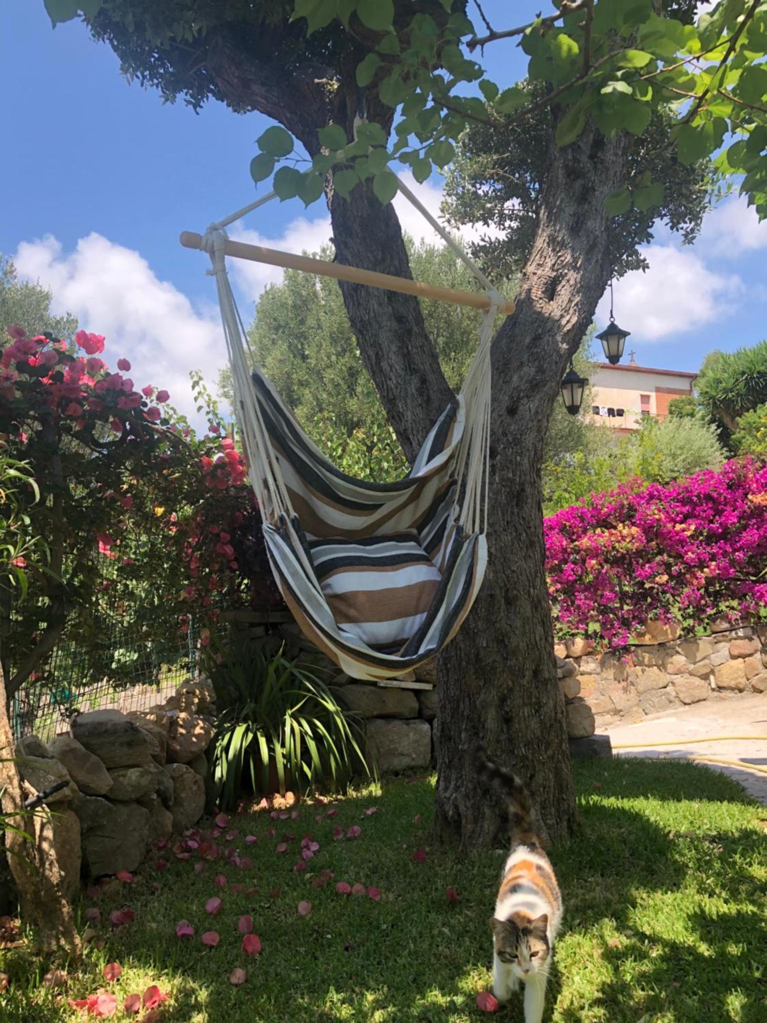 Il Vicolo Palinuro Villa Pisciotta Dış mekan fotoğraf