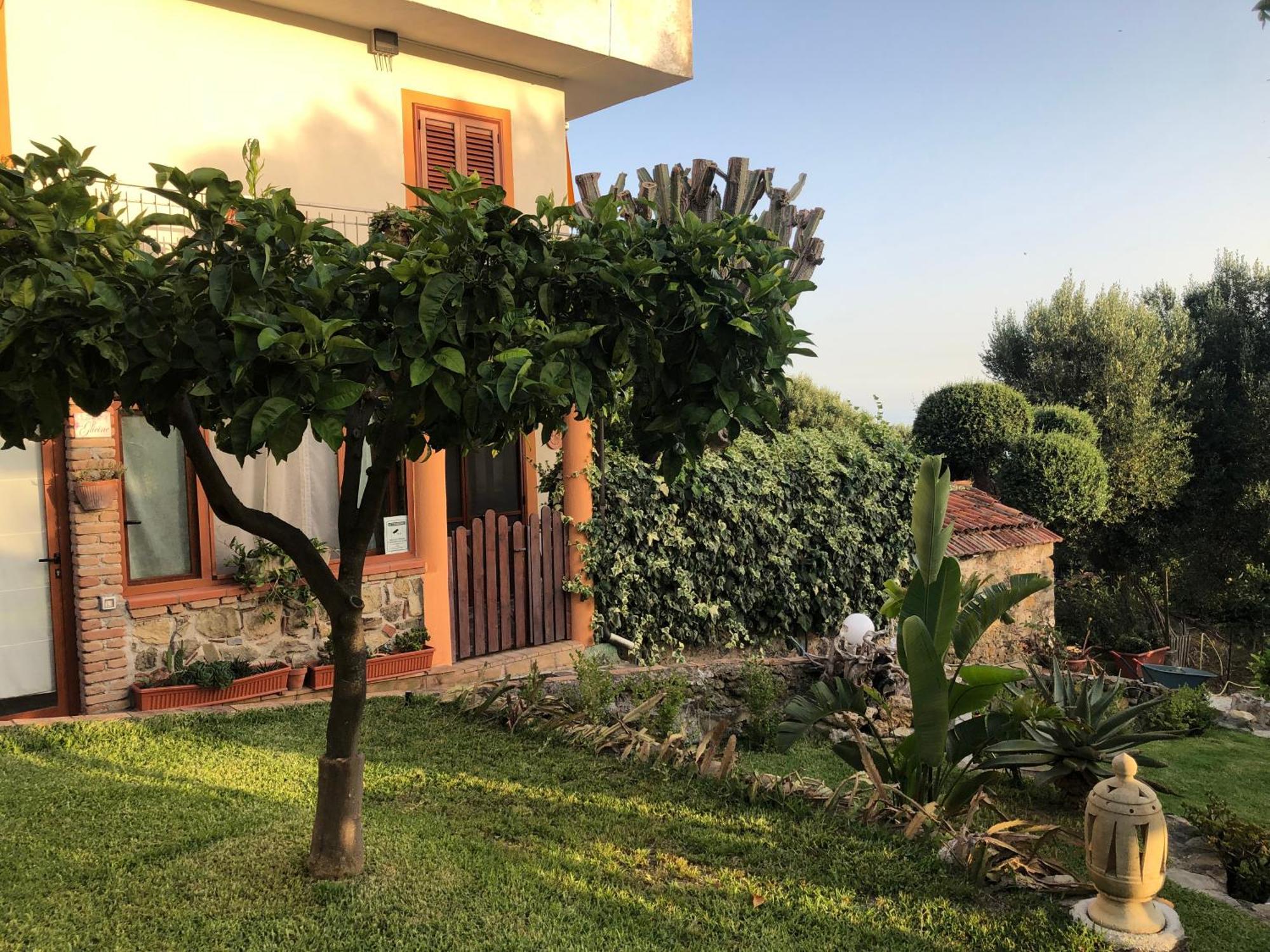 Il Vicolo Palinuro Villa Pisciotta Dış mekan fotoğraf